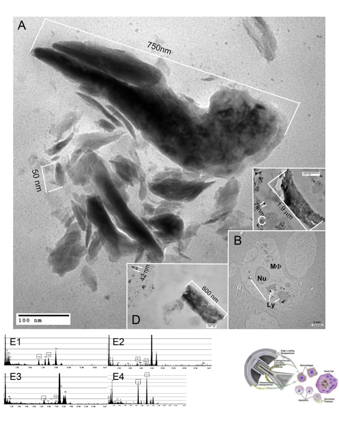 nanoparticles